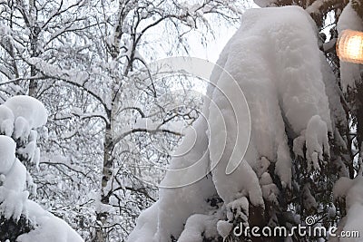 Winter time snow weather christmas Stock Photo