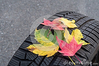 Winter tires with colorful autumn leaves Stock Photo