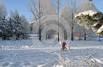 Winter city landscape, snowy trees and a small child riding a sled. Editorial Stock Photo