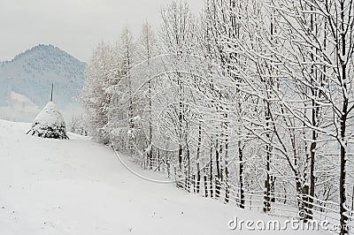 Winter In Transylvania Romania - Rural Scene Stock Photo