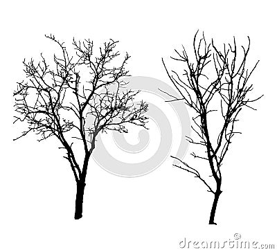 Winter tree black silhouettes Vector Illustration