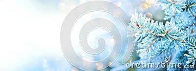 Winter tree holiday snow background. Blue spruce, Christmas and New Year tree border art design, abstract blue backdrop Stock Photo