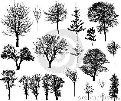 Winter trees Stock Photo