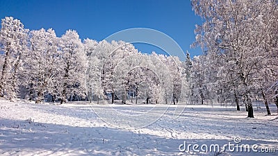 Winter trees in mountains covered with snow Stock Photo