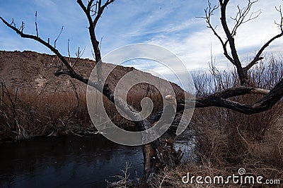 winter trees on river bank in autumn landscape Stock Photo