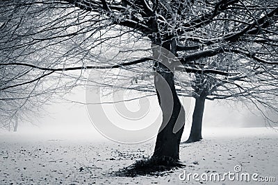 Winter - with a twist Stock Photo