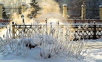 Steam from the sewers on the background of the path, snow-covered bushes Stock Photo