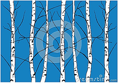 Winter vector illustration of naked birch trees isolated on dark blue background. Vector Illustration