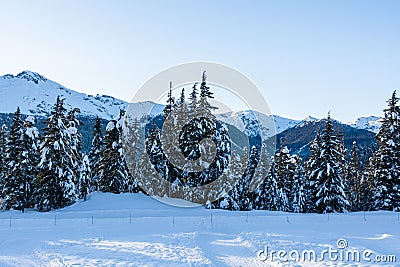 Winter view on mountains and forest in snow from Olympic village in Wistler, BC. Stock Photo