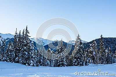 Winter view on mountains and forest in snow from Olympic village in Wistler, BC. Stock Photo