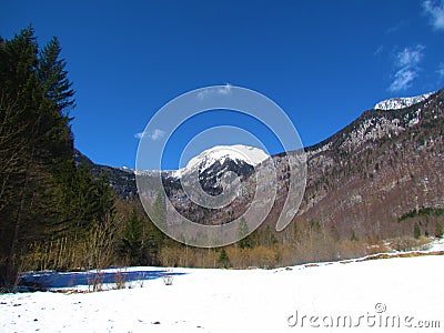 Winter view of snow covered pasture in Voje valley Stock Photo