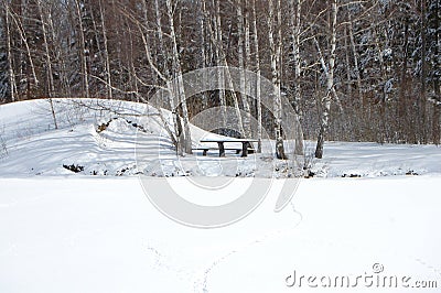 Winter views in the forest, in the fields. Stock Photo