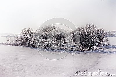 Winter in Vojvodina Stock Photo