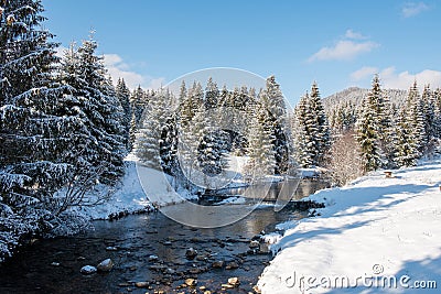 Winter water stream in the forest Stock Photo