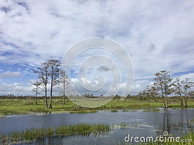 Louisiana Cypress Swamp and river Stock Photo