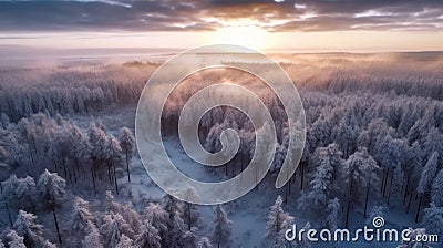Winter Whispers: Aerial Serenity in Finnish Forest Stock Photo