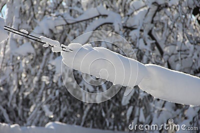 Winter wires. Snow-covered power grids Stock Photo