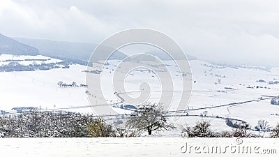 Winter Wonderland Stock Photo