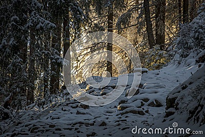Winter wonderland on a hiking trail Stock Photo