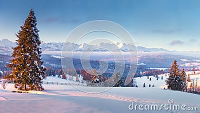 Beautiful winter landscape. Zakopane, Poland Stock Photo