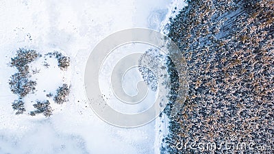 Winter woodland edge by the frozel lake, aerial photo Stock Photo