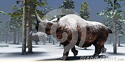 Winter Woolly Rhino Stock Photo