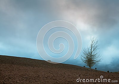 Mediterranean farmland with tree and cloudscape Stock Photo