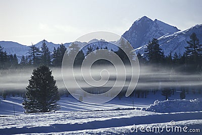 Winterscape in the Sierra Nevada Stock Photo