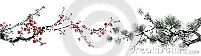 Wintersweet and pine tree Vector Illustration