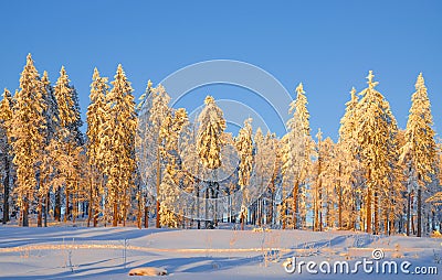 Wintertime in Bavarian Forest,Bavaria,Germany Stock Photo