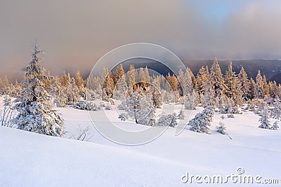 Wintertime - Black Forest Stock Photo