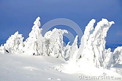 Wintertime,Brocken,Harz Mountains,Germany Stock Photo