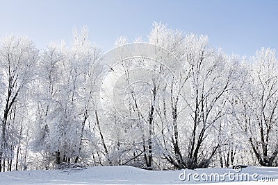 Wintery Landscape Stock Photo