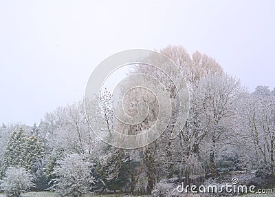 Wintery Tree Landscape Stock Photo