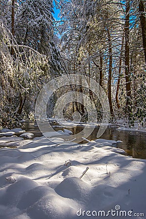 Wintry forest, Martins Fork River, Kentucky Stock Photo