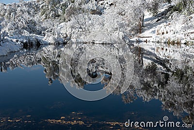 Wintry reflection in a still, blue pond Stock Photo