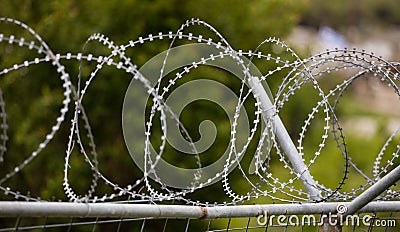 Wire barbed mesh metal fence, sharp with razors, circle. Warning of danger for enemies. Blurred nature background, close up view. Stock Photo