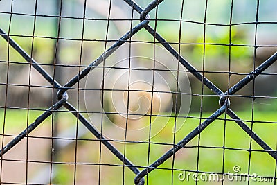 Wire cage at Bonanza Exotic Zoo in Thailand Stock Photo