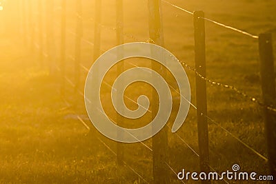 Wire fence in a farm at sunset Stock Photo