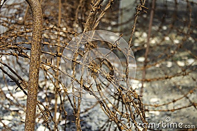 Wire fencing Stock Photo