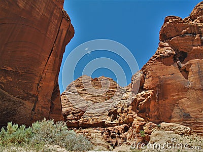 Wire Pass Trail Stock Photo