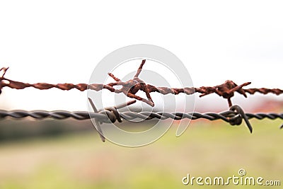 Wire with thorns shot from near Stock Photo