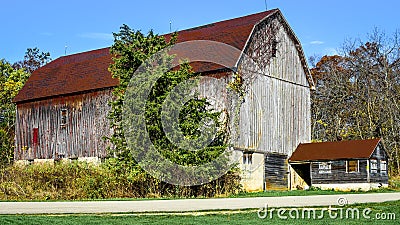 Rustic Brown Barn Amidst Trees Stock Photo