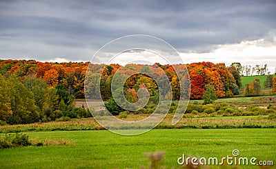 Wisconsin farmland and colorful forrest in October Stock Photo
