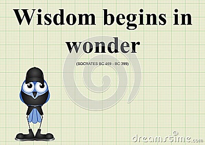 Wisdom begins in wonder Vector Illustration