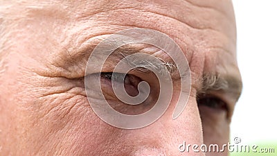 Wisdom in eyes of aged man looking at camera, senior person thinking about past Stock Photo