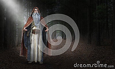 Wise Evil Wizard, Sorcerer, Magic Stock Photo