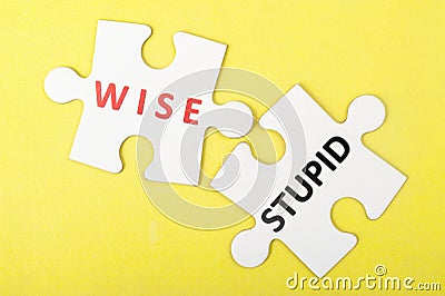 Wise versus stupid concept Stock Photo