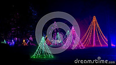 Christmas Glow 2022 at RHS Garden Wisley, Woking, Surrey, England, UK on November 19, Editorial Stock Photo