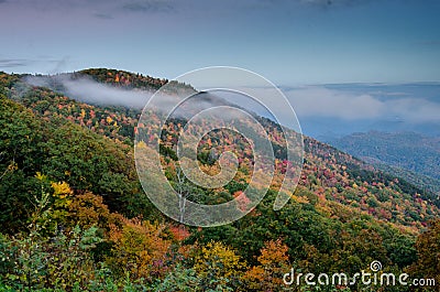 Wispy Clouds of Fall Leaves in North Carolina Stock Photo